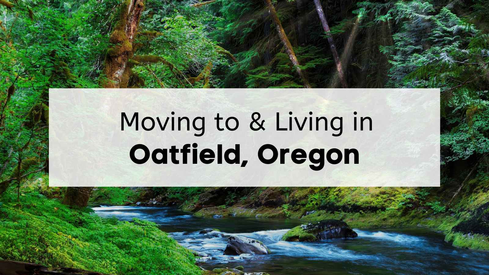The Complete Guide to Living in Oatfield