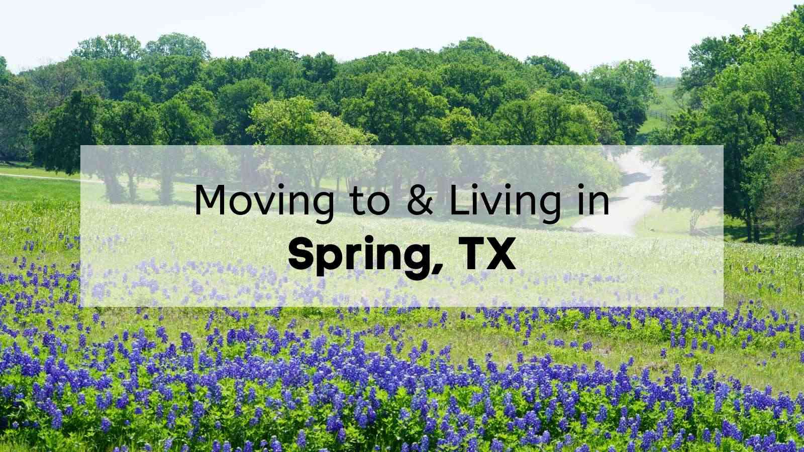 Beautiful field in Spring Texas full of blooming flowers.