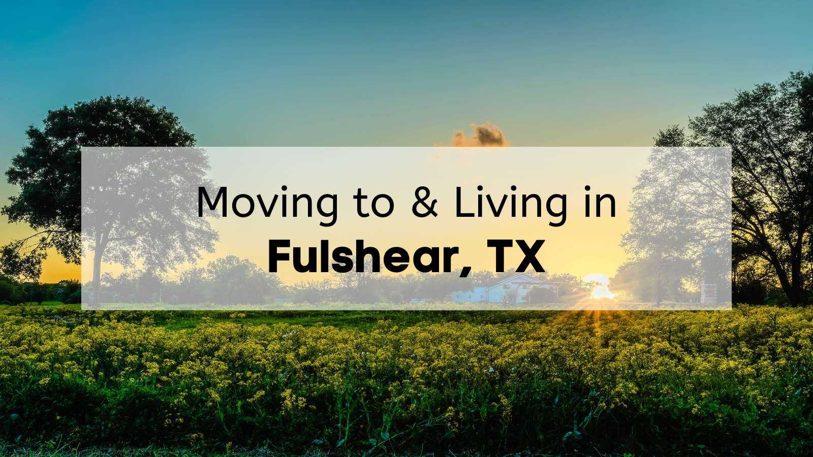 Beautiful wildflower field at sunset in Fulshear Texas.